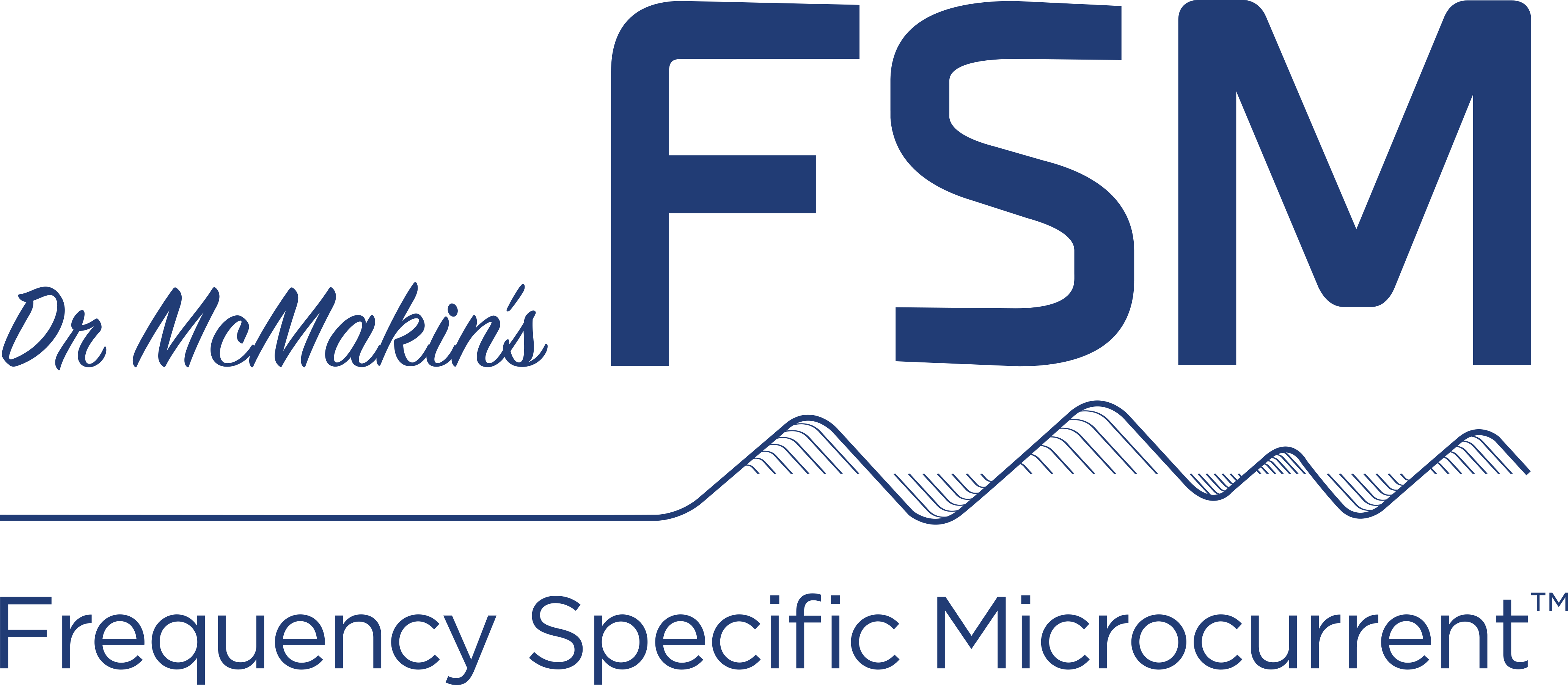 FSM Logo